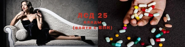 сатива Каменск-Шахтинский