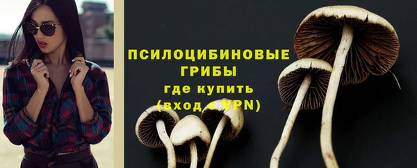 не бодяженный Каменка