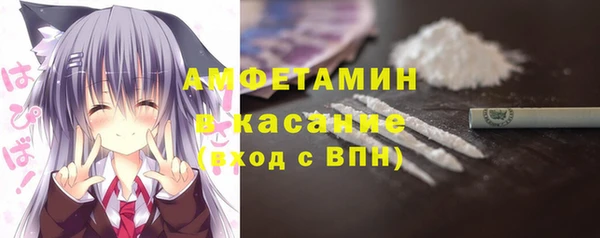 сатива Каменск-Шахтинский