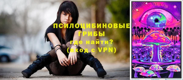 сатива Каменск-Шахтинский