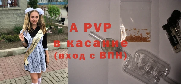 сатива Каменск-Шахтинский