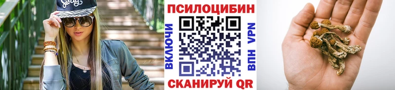 Галлюциногенные грибы мицелий  Купить  Ардатов 