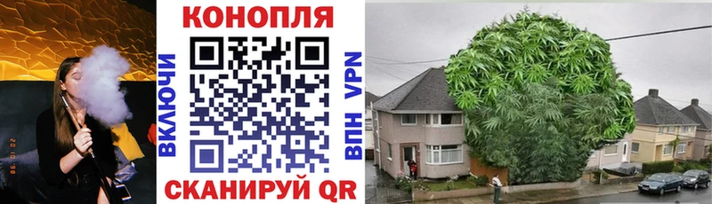 Шишки марихуана гибрид Купить где Ардатов
